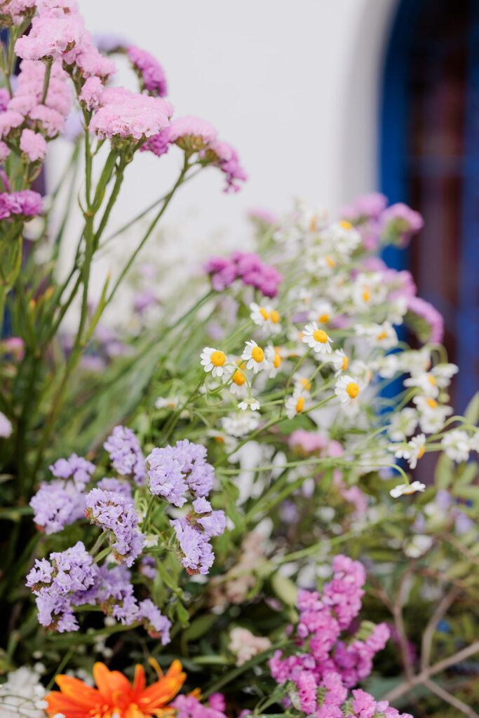 Βάπτιση Άγιος Γεώργιος Καβούρι ignatios kourouvasilis ik0942 | IGNATIOS KOUROUVASILIS